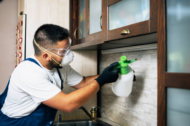 Insect Control in Oriole Beach, FL